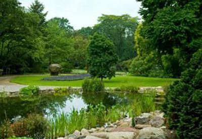 Arboretum view