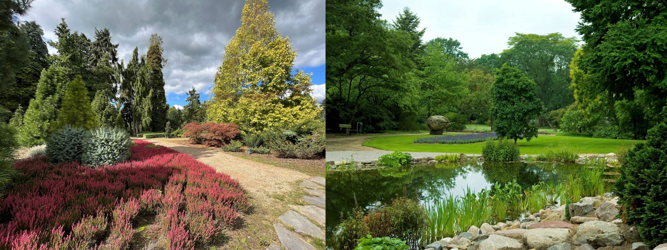 Arboretum view